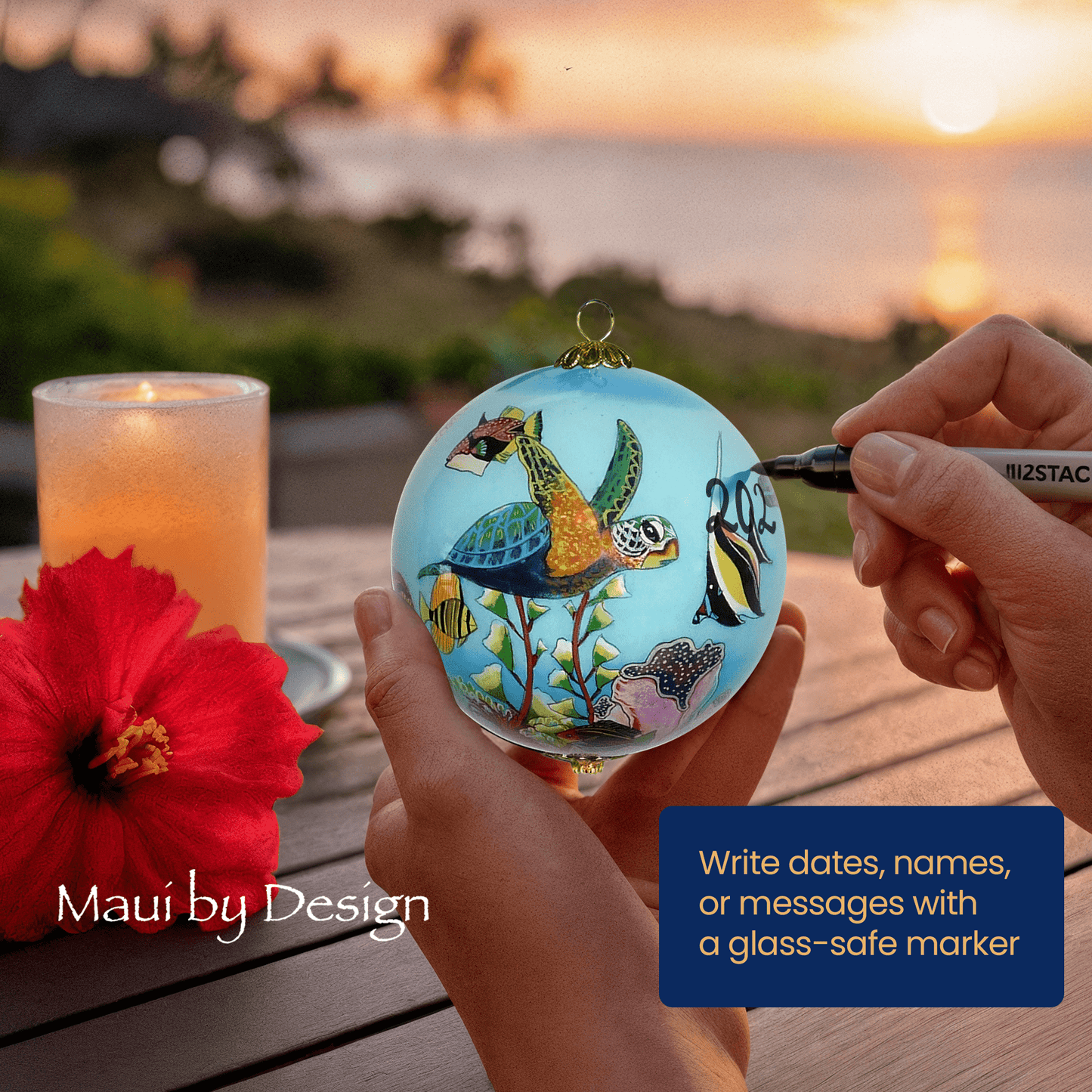 Hawaiian Fish and Turtle Ornament